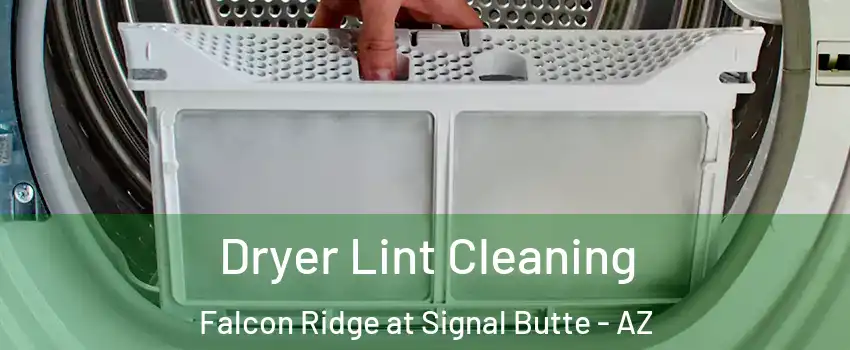Dryer Lint Cleaning Falcon Ridge at Signal Butte - AZ