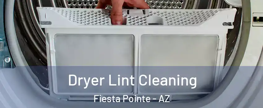 Dryer Lint Cleaning Fiesta Pointe - AZ