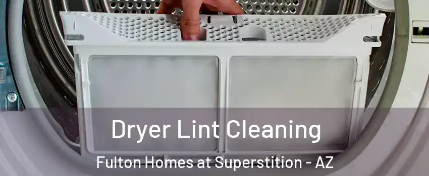 Dryer Lint Cleaning Fulton Homes at Superstition - AZ