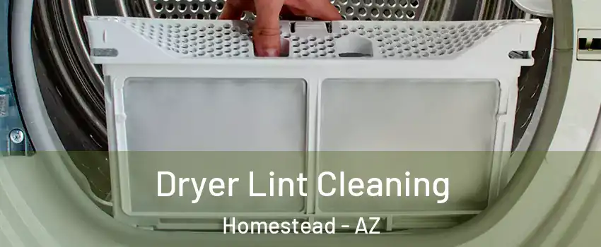 Dryer Lint Cleaning Homestead - AZ