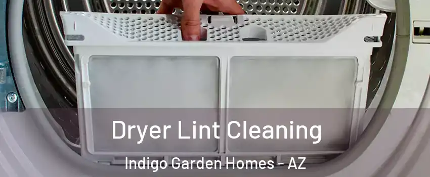 Dryer Lint Cleaning Indigo Garden Homes - AZ