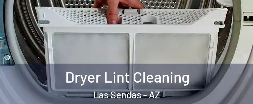 Dryer Lint Cleaning Las Sendas - AZ