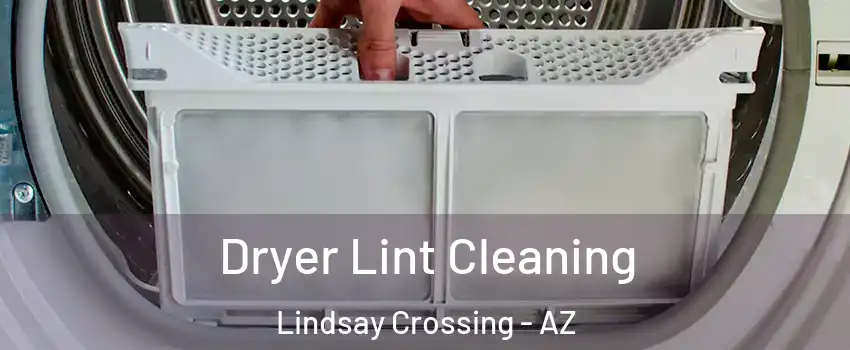 Dryer Lint Cleaning Lindsay Crossing - AZ