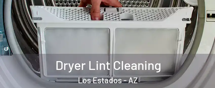 Dryer Lint Cleaning Los Estados - AZ