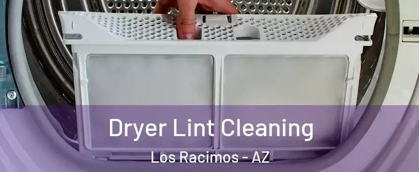 Dryer Lint Cleaning Los Racimos - AZ