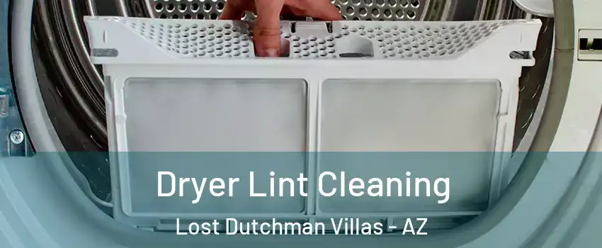 Dryer Lint Cleaning Lost Dutchman Villas - AZ