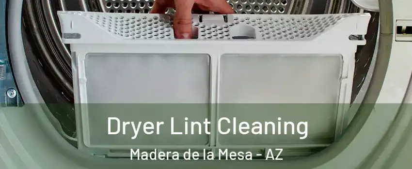 Dryer Lint Cleaning Madera de la Mesa - AZ
