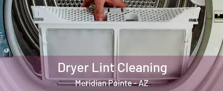 Dryer Lint Cleaning Meridian Pointe - AZ