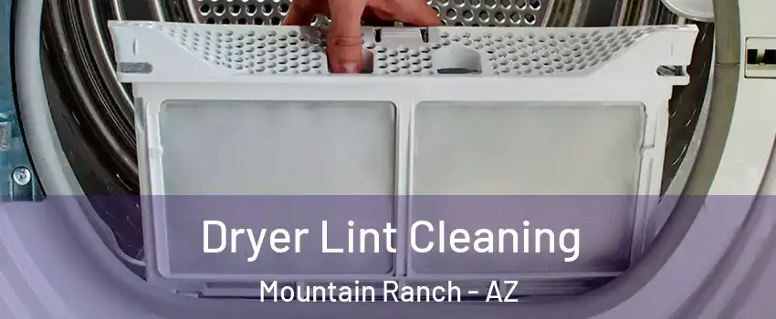 Dryer Lint Cleaning Mountain Ranch - AZ