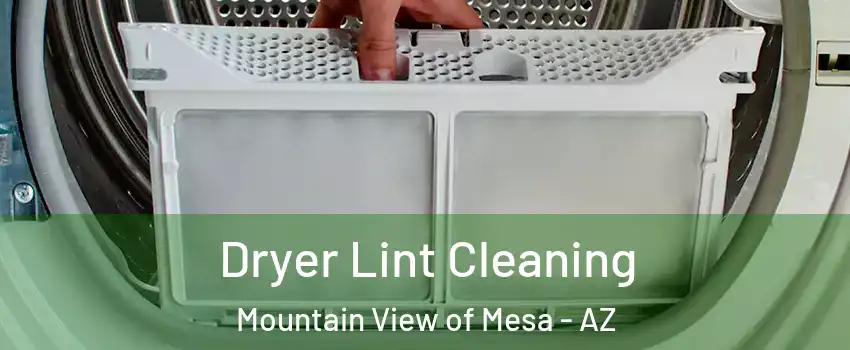 Dryer Lint Cleaning Mountain View of Mesa - AZ