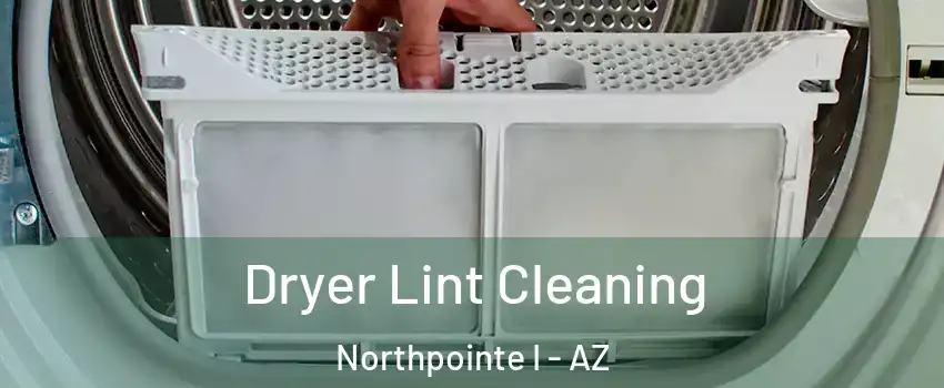 Dryer Lint Cleaning Northpointe I - AZ