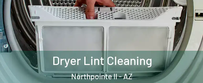 Dryer Lint Cleaning Northpointe II - AZ
