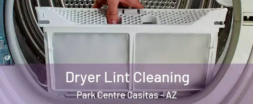 Dryer Lint Cleaning Park Centre Casitas - AZ