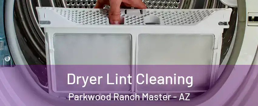 Dryer Lint Cleaning Parkwood Ranch Master - AZ
