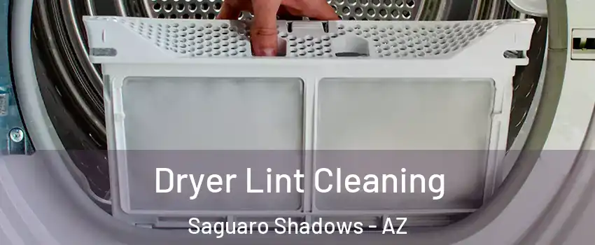 Dryer Lint Cleaning Saguaro Shadows - AZ