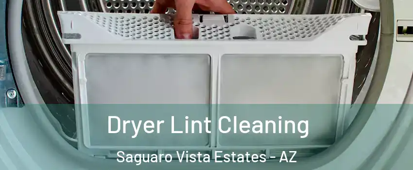 Dryer Lint Cleaning Saguaro Vista Estates - AZ