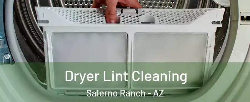 Dryer Lint Cleaning Salerno Ranch - AZ
