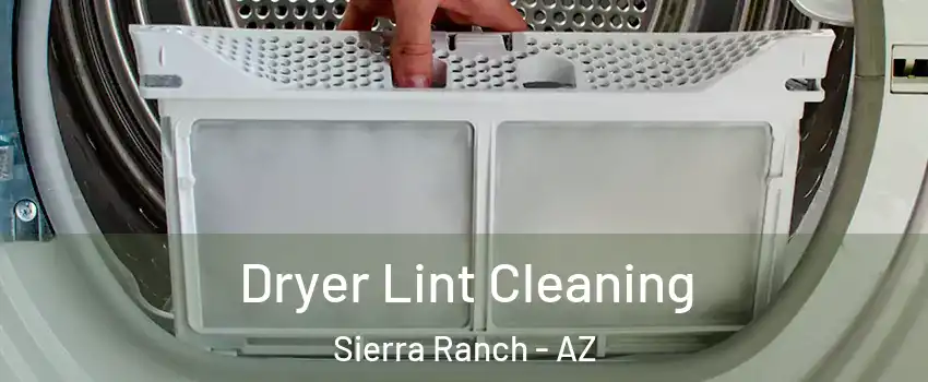 Dryer Lint Cleaning Sierra Ranch - AZ