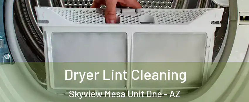 Dryer Lint Cleaning Skyview Mesa Unit One - AZ