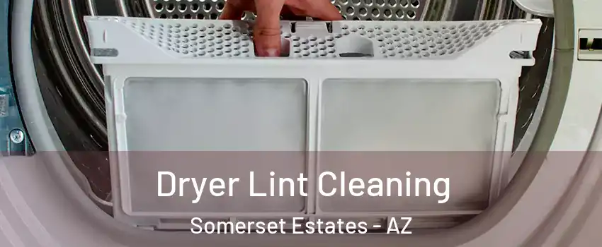Dryer Lint Cleaning Somerset Estates - AZ