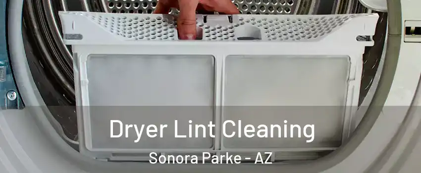 Dryer Lint Cleaning Sonora Parke - AZ