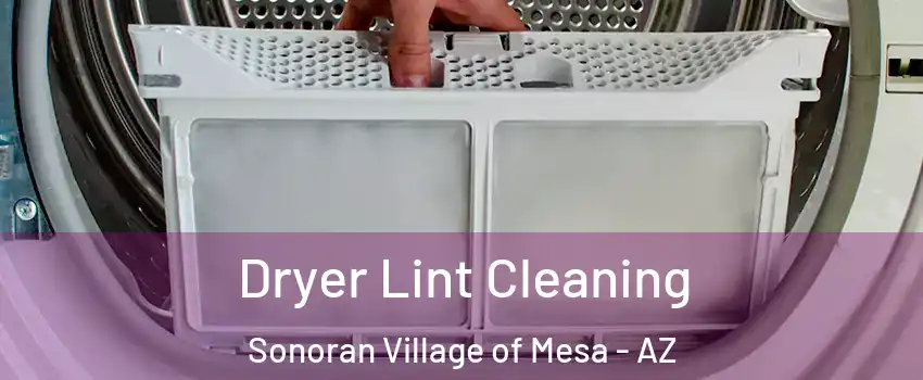 Dryer Lint Cleaning Sonoran Village of Mesa - AZ