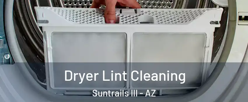 Dryer Lint Cleaning Suntrails III - AZ