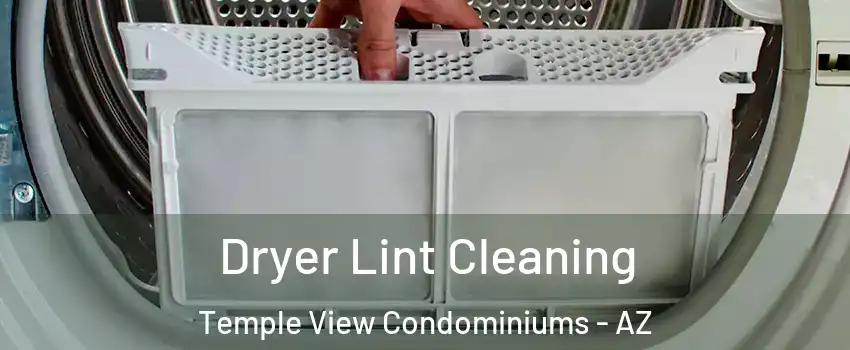 Dryer Lint Cleaning Temple View Condominiums - AZ