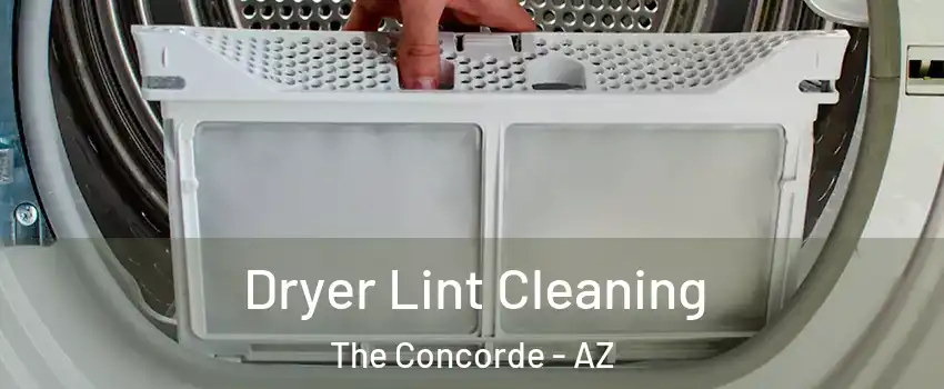 Dryer Lint Cleaning The Concorde - AZ