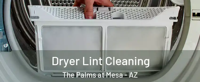 Dryer Lint Cleaning The Palms at Mesa - AZ