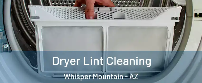 Dryer Lint Cleaning Whisper Mountain - AZ