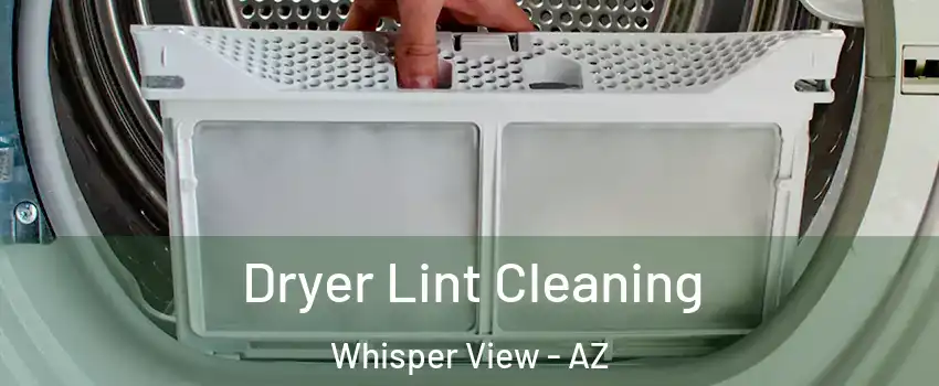 Dryer Lint Cleaning Whisper View - AZ
