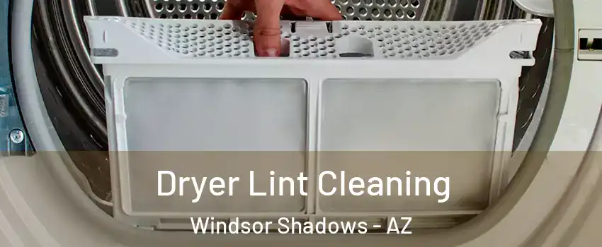 Dryer Lint Cleaning Windsor Shadows - AZ