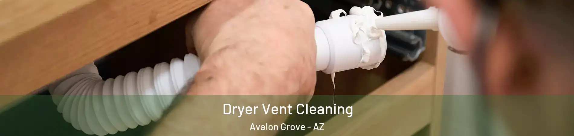 Dryer Vent Cleaning Avalon Grove - AZ