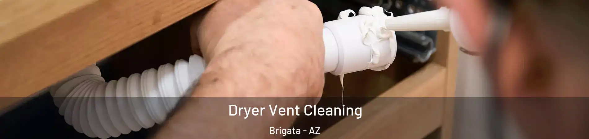 Dryer Vent Cleaning Brigata - AZ