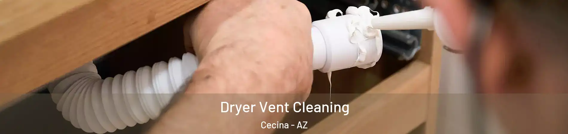 Dryer Vent Cleaning Cecina - AZ