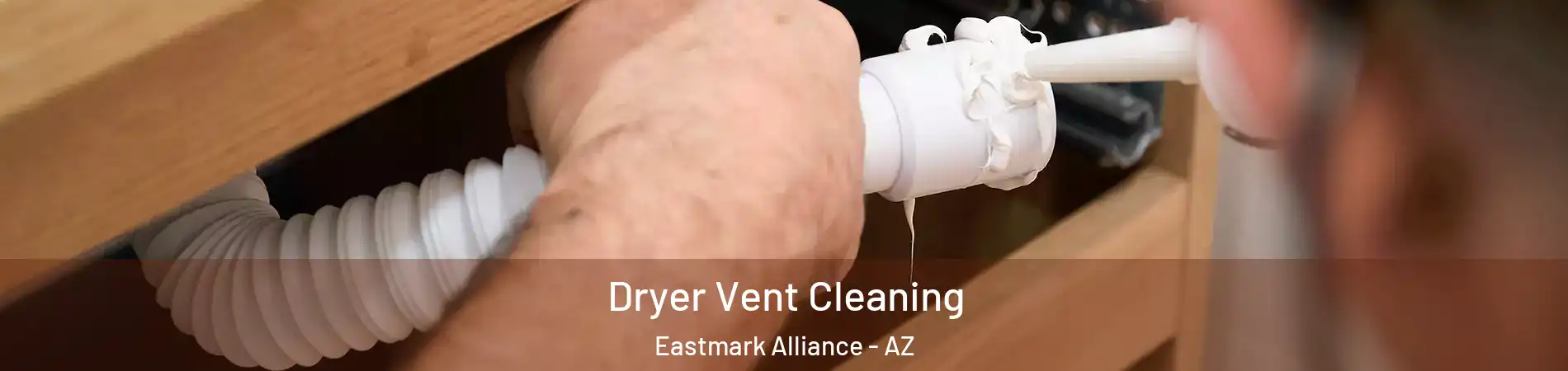 Dryer Vent Cleaning Eastmark Alliance - AZ