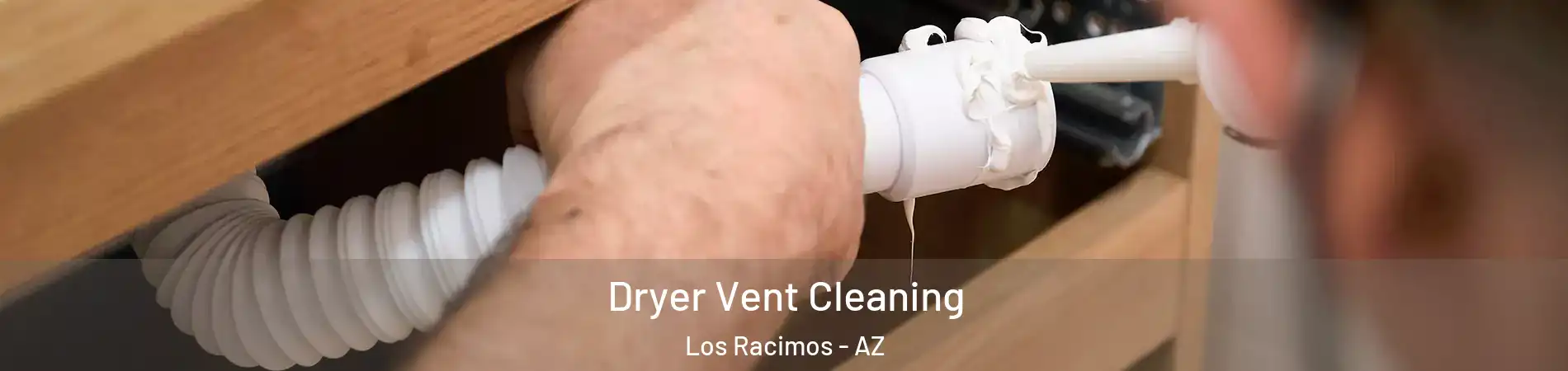 Dryer Vent Cleaning Los Racimos - AZ