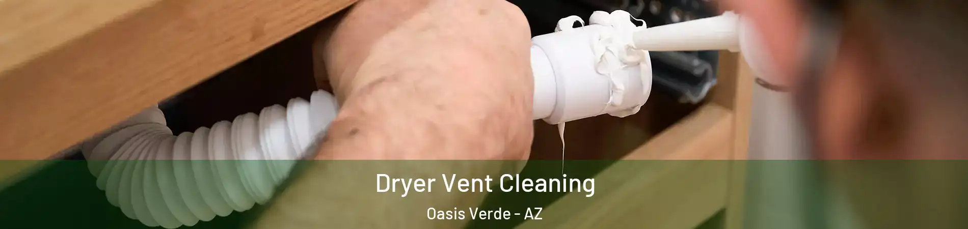 Dryer Vent Cleaning Oasis Verde - AZ