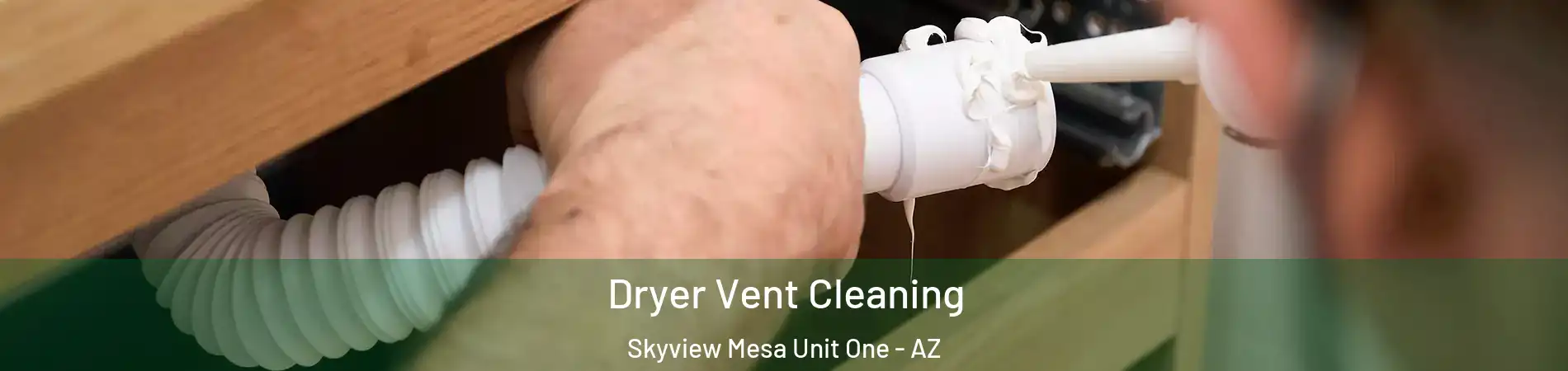 Dryer Vent Cleaning Skyview Mesa Unit One - AZ