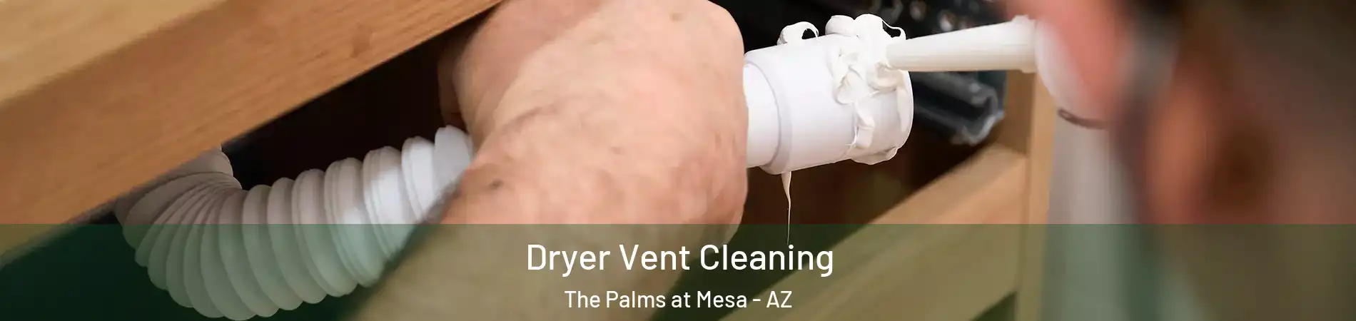 Dryer Vent Cleaning The Palms at Mesa - AZ