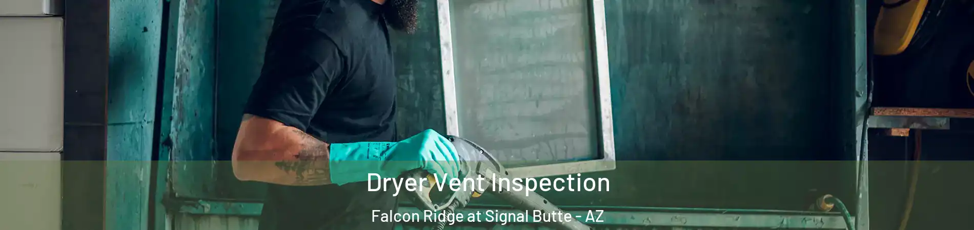 Dryer Vent Inspection Falcon Ridge at Signal Butte - AZ