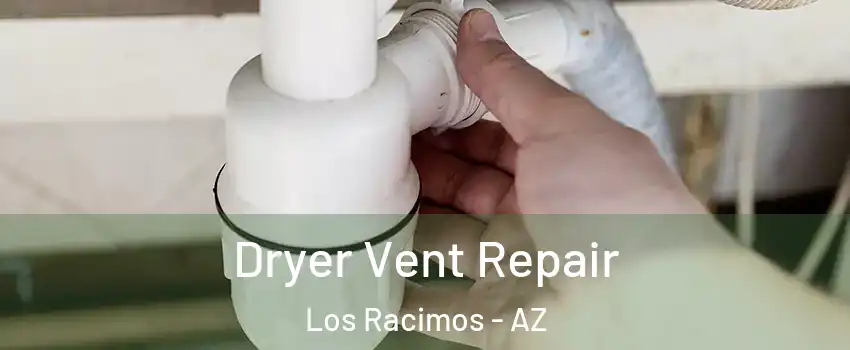 Dryer Vent Repair Los Racimos - AZ