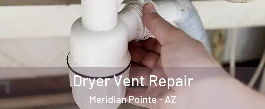 Dryer Vent Repair Meridian Pointe - AZ