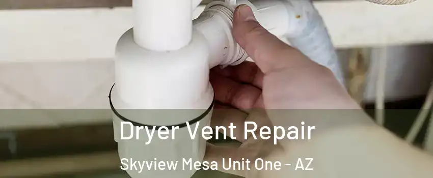 Dryer Vent Repair Skyview Mesa Unit One - AZ