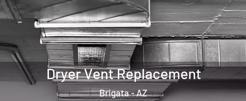 Dryer Vent Replacement Brigata - AZ
