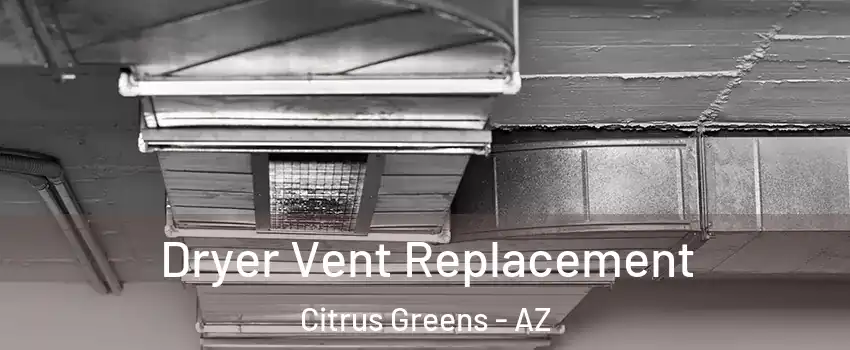 Dryer Vent Replacement Citrus Greens - AZ