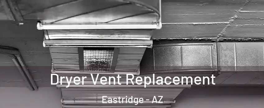 Dryer Vent Replacement Eastridge - AZ