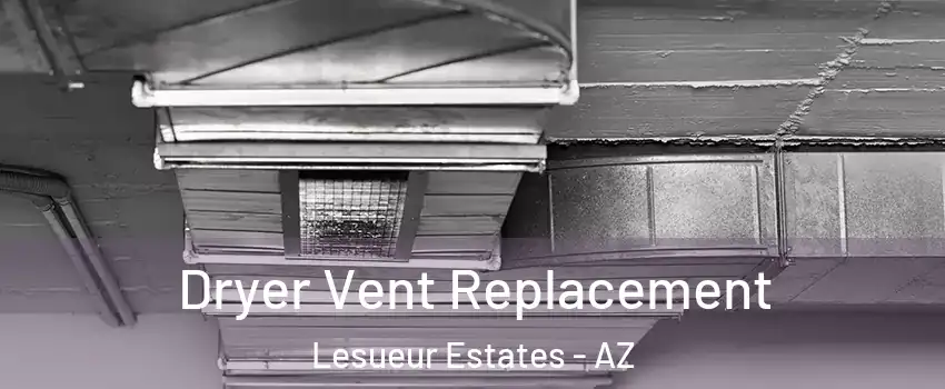 Dryer Vent Replacement Lesueur Estates - AZ
