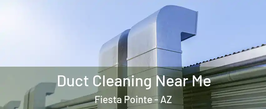 Duct Cleaning Near Me Fiesta Pointe - AZ